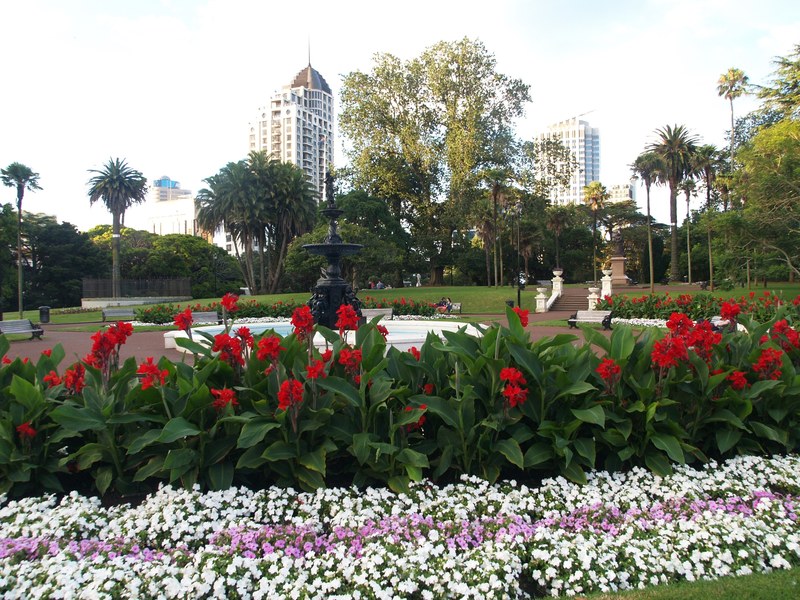 albert park in auckland 4k