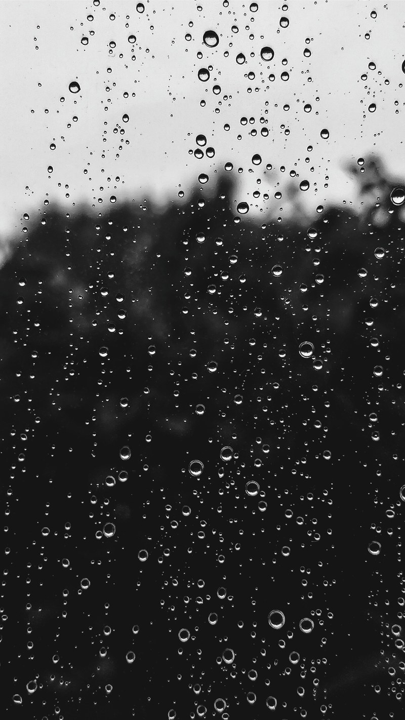 wet rain black and white and raindrop hd, 4k