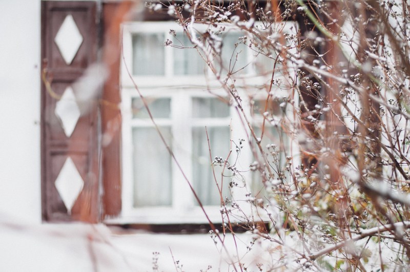 a branch lightly dusted in snow in front of a rustic window shutter, home 4k