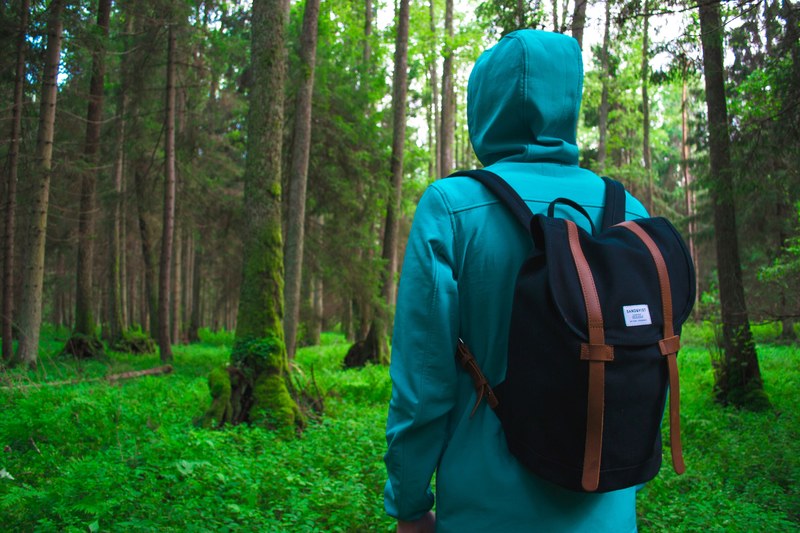 a hooded hiker with a small backpack in a green forest, hooded hiker in the woods 4k