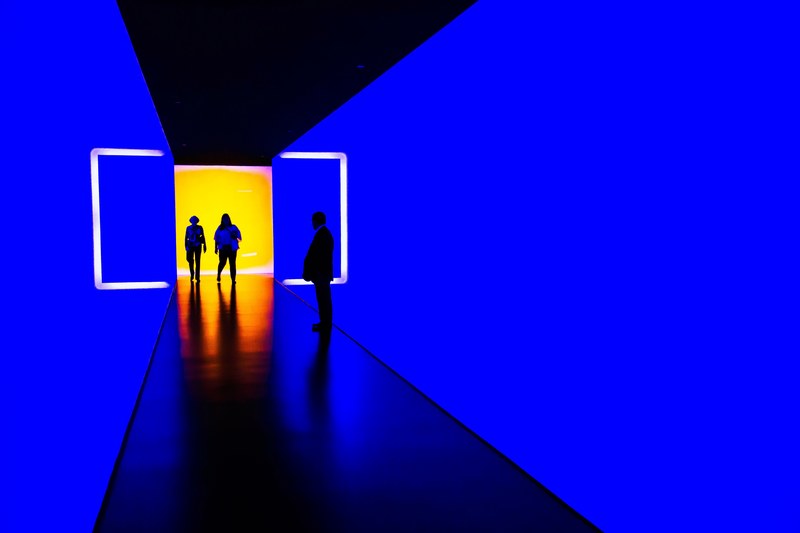 houston museum of fine arts 4k