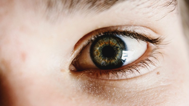 blue and brown cornea in an eye eyelids and eyebrow, close up eye 4k