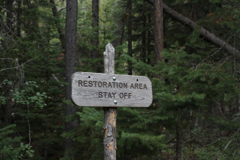 rustic warning sign tells hikers to stay out of a wooded area, no trespassing 4k