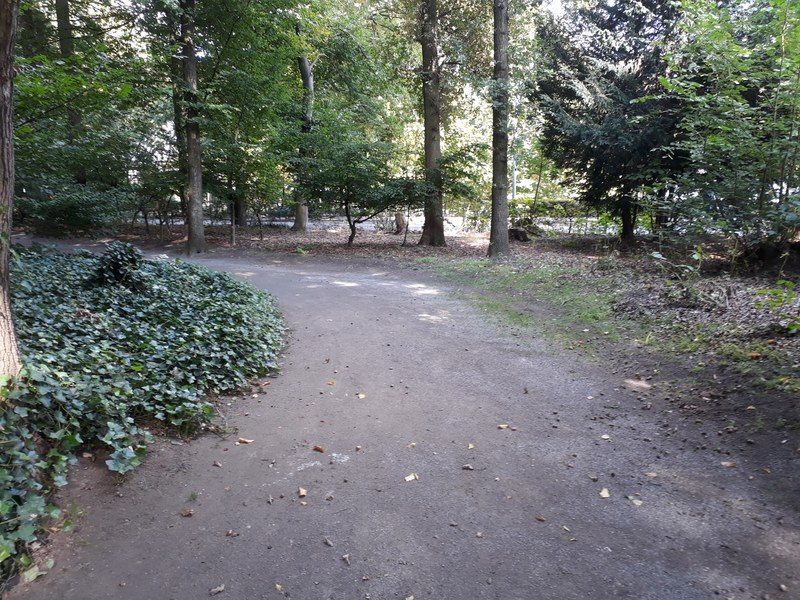 die wege laden zum spazieren gehen ein 4k
