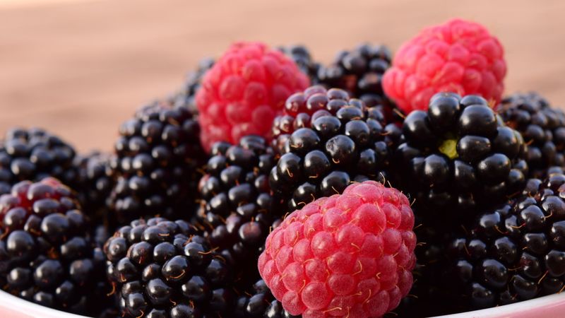 raspberries, blackberries, berries, bowl, 4k