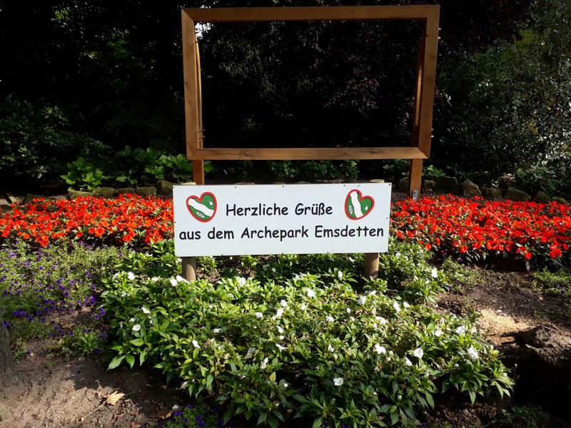 willkommen im stadtpark emsdetten 4k