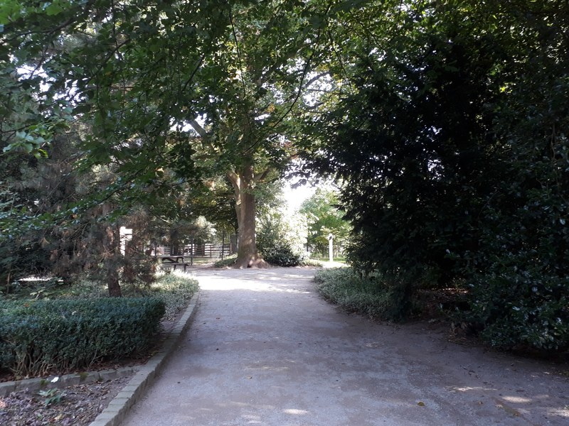 weitere schne wege im stadtpark 4k