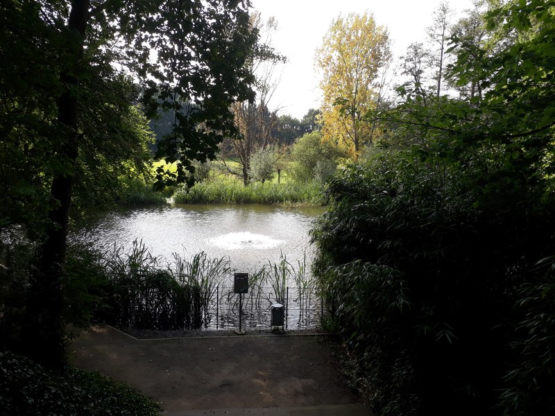 der blick von oben auf den see 4k