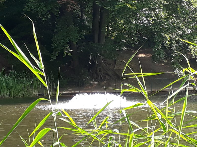 schne wasserfontne 4k