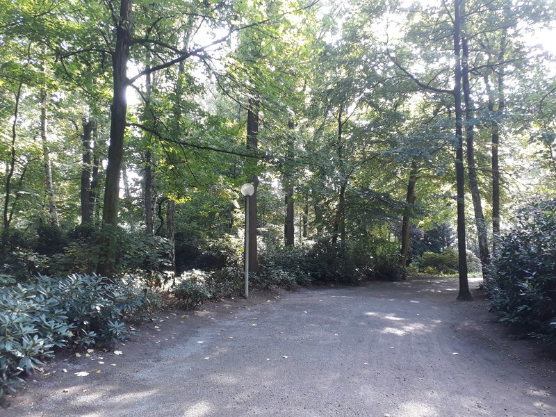 ist der waldweg nicht schn 4k