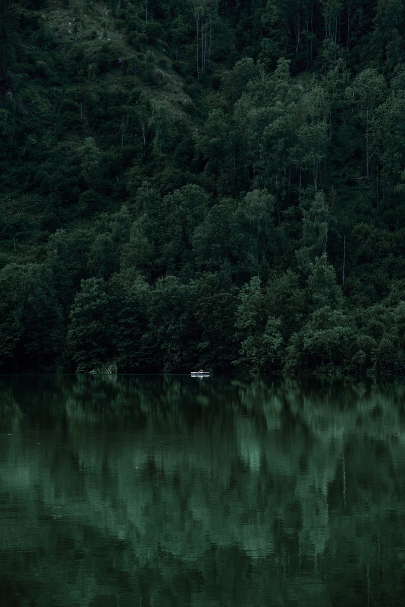 nothing to hide 4k