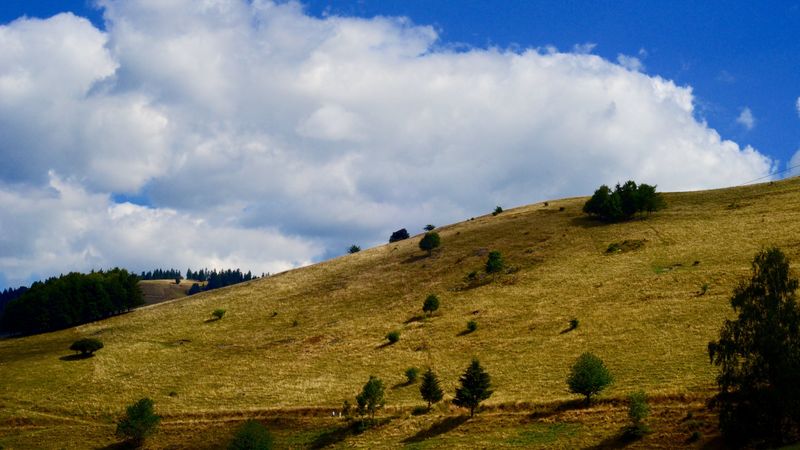 hill, grass, sky, 4k