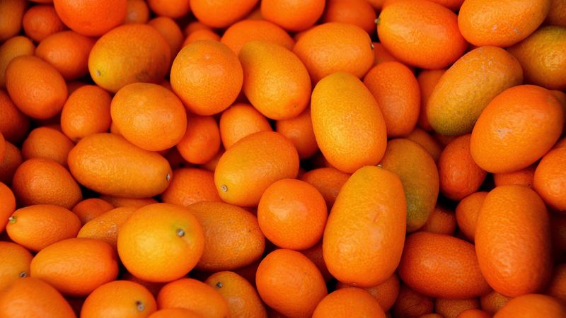 kumquat, fruit, many, 4k
