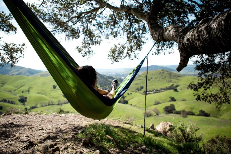 hammock tree hill and landscape 4k