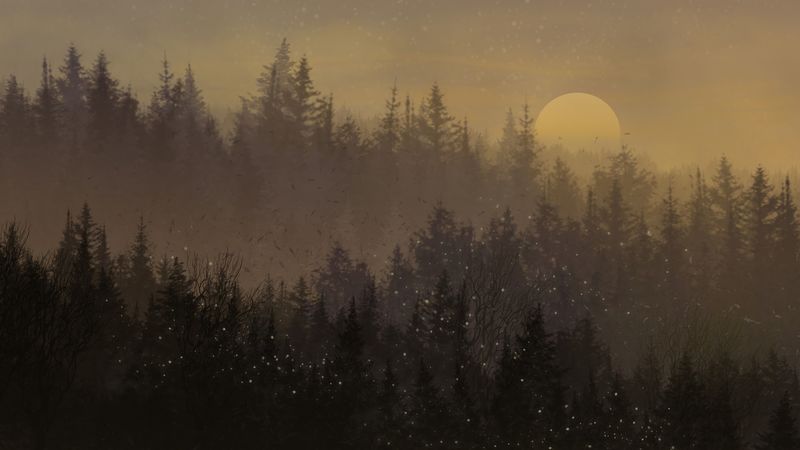 moon, forest, trees, snow, 4k