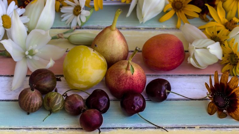 fruit, pear, gooseberry, flowers, 4k