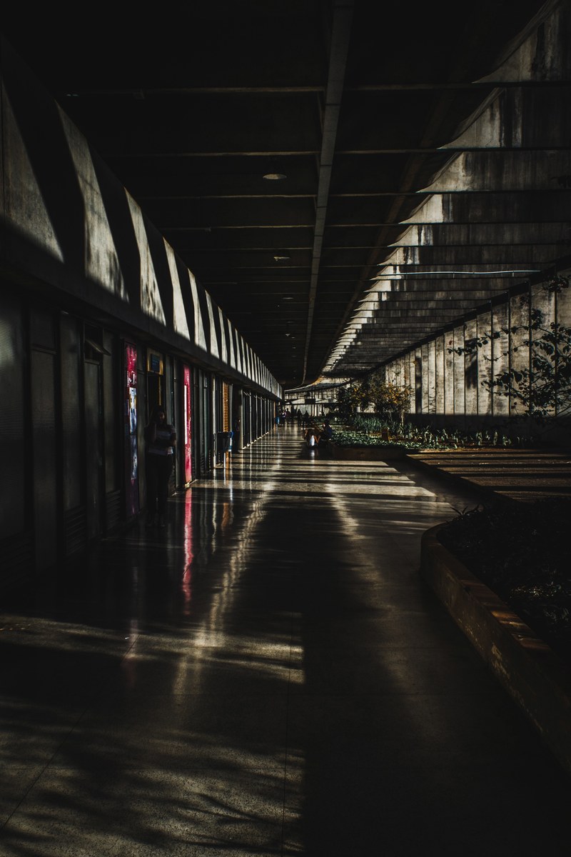 university life 4k
