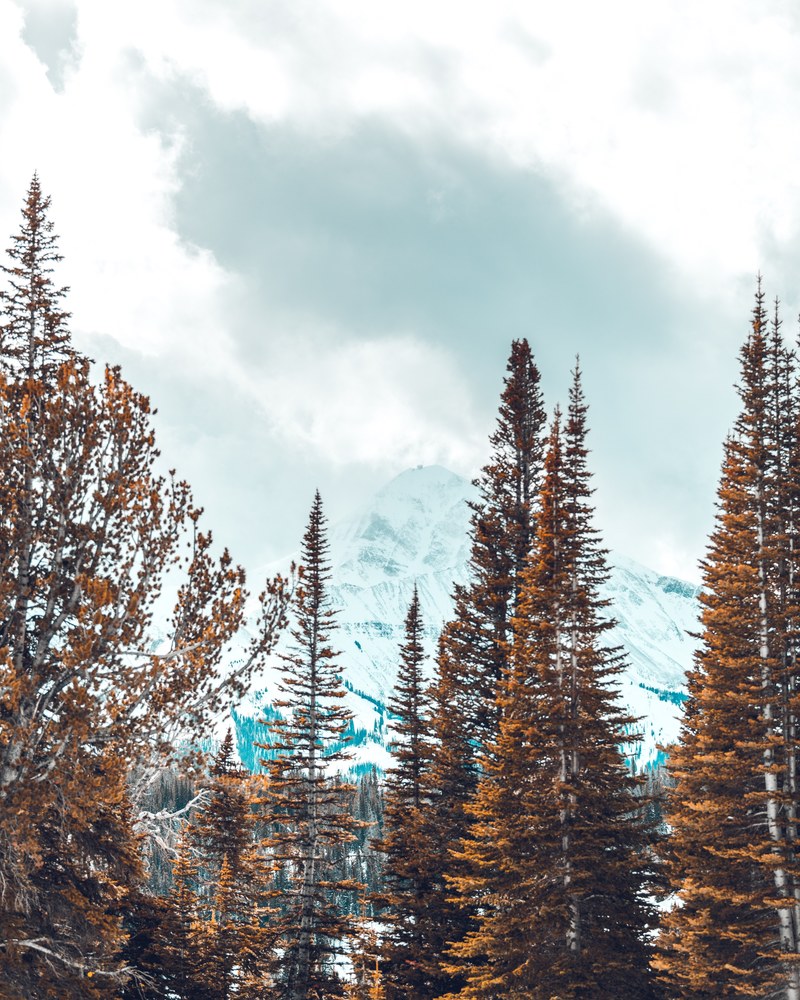 snowshoeing expedition 09 4k