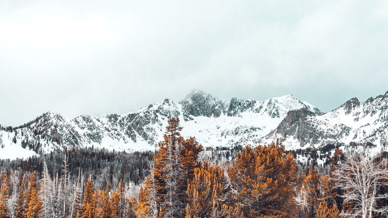 snowshoeing expedition 10 4k