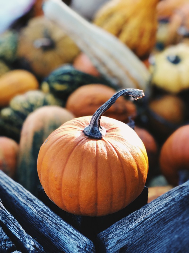 pumpkin crate wooden and orange hd, 4k