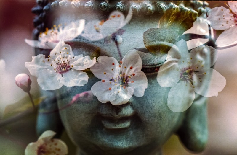 flower awareness meditate and calm 4k