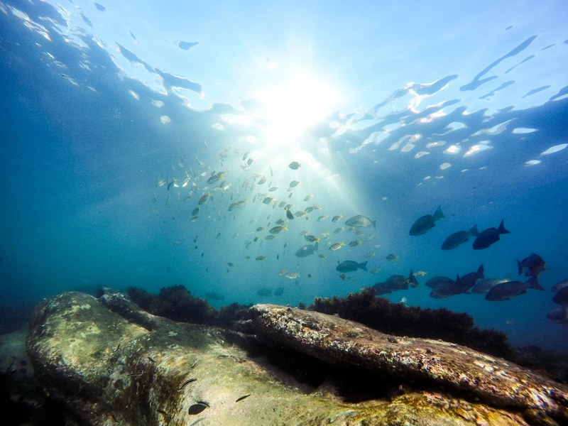 gopro free diving scuba diving and blue 4k