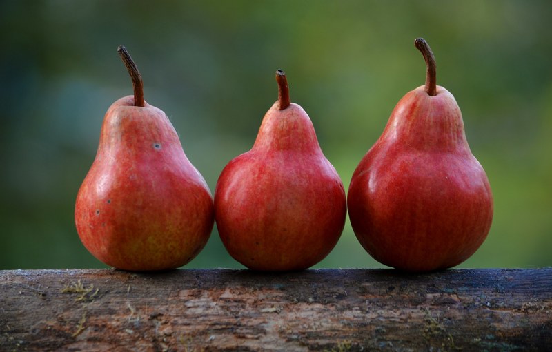 three red pears on a ledge outside, pears 4k