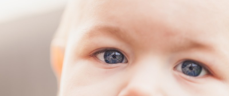 view of a babys forehead and nose with light blue eyes and light eyebrows, baby face with blue eyes 4k