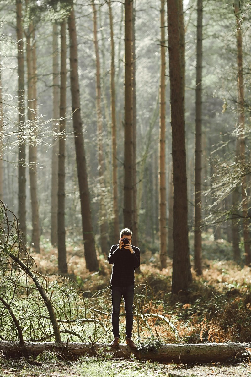 a photographer taking a picture in a forest, forest photographs 4k