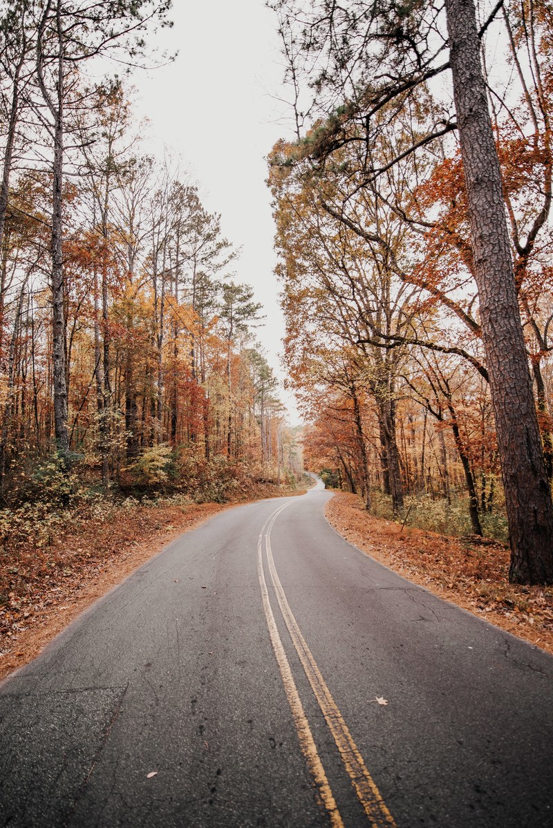 fall drive 4k
