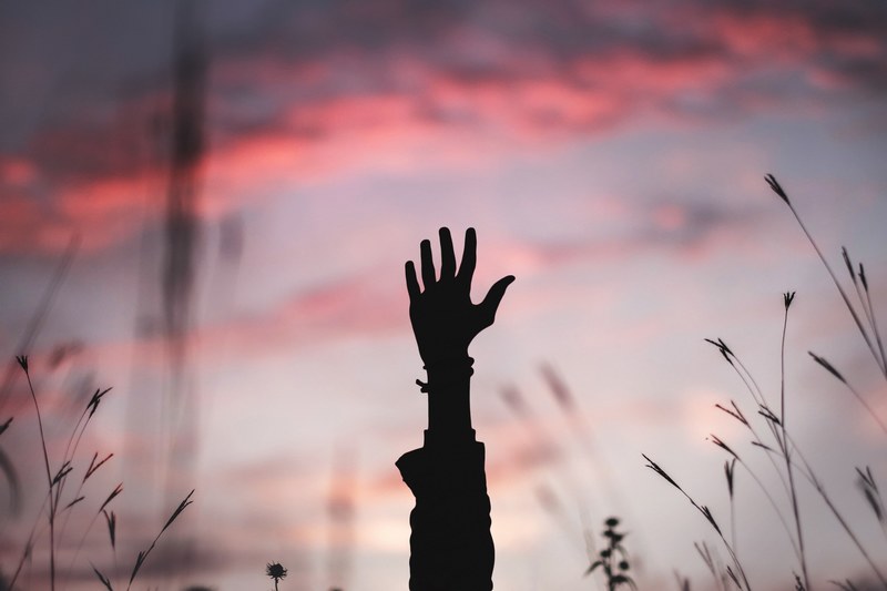 the silhouette of a hand and arm being raised against a purple and pink sky in a field, reach for the end 4k