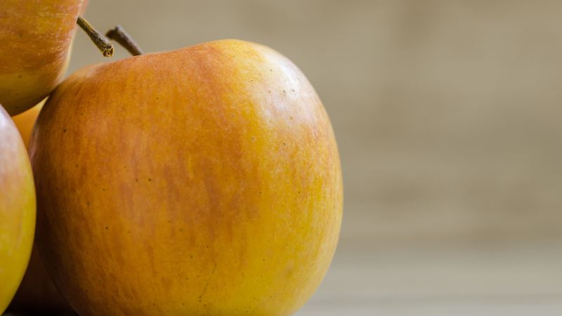 apples, fruit, ripe, 4k