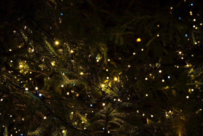 a christmas tree with fairy lights on it in ilkley, xmas4 4k