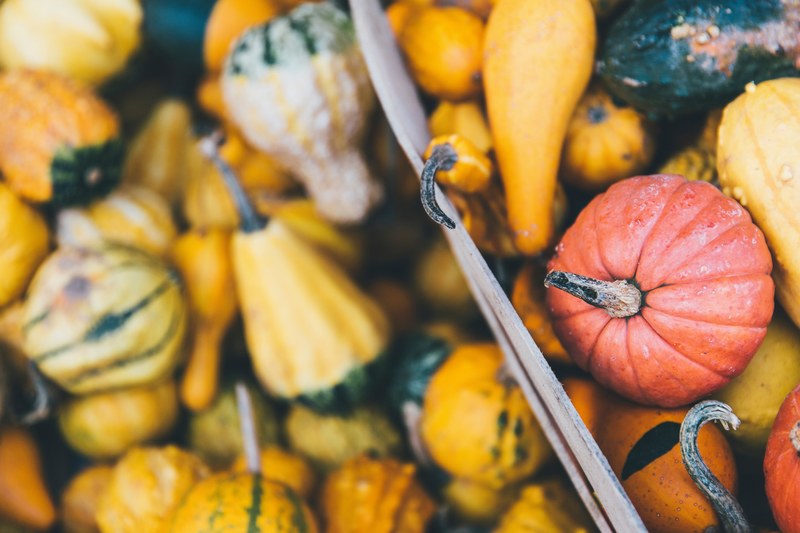 pumpkin gourde vegetable and squash 4k