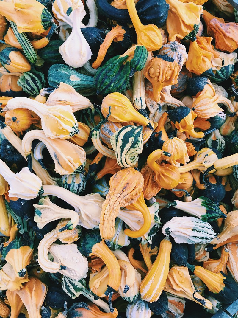 autumn gourds 4k