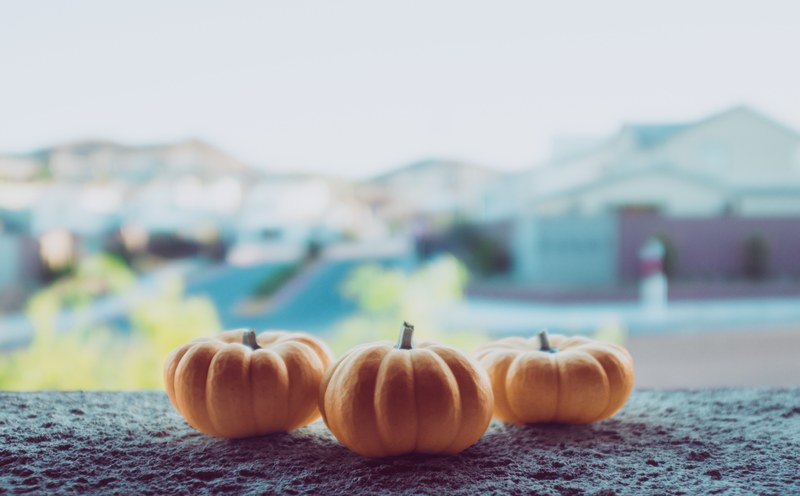 pumpkin mini pumpkin little pumpkin and ledge 4k