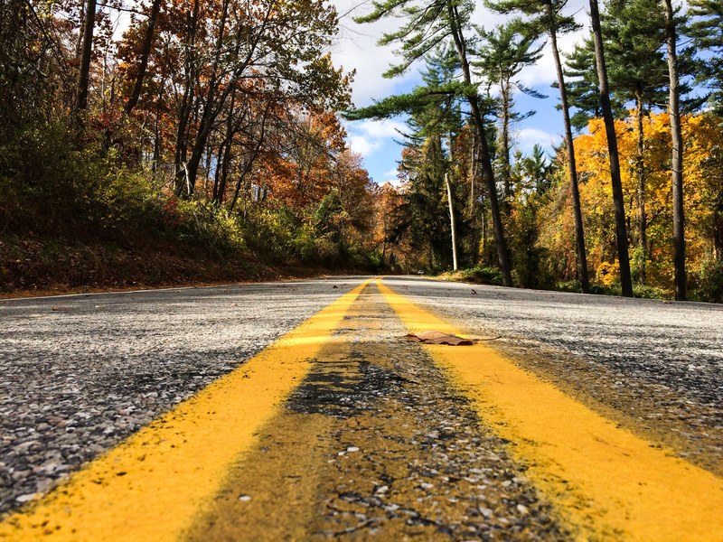 a low angle shot of an empty asphalt road with several autumn leaves on it, asphalt road in the autumn 4k