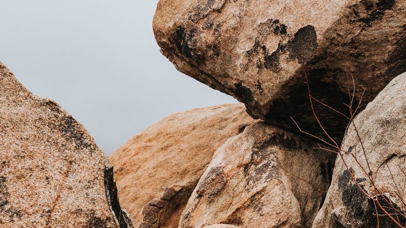 stones, blocks, rocks, branch, 4k