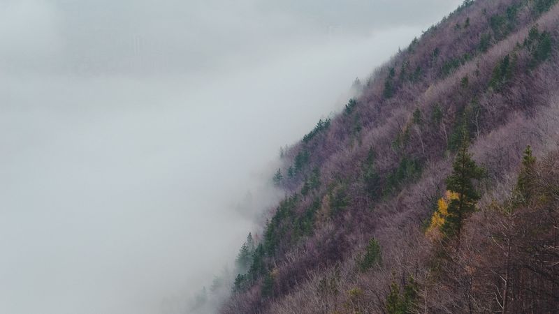 slope, hill, grass, fog, 4k
