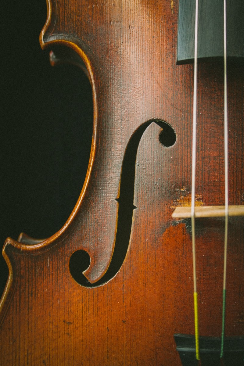 a close up of the side of an old cello, einsteins instrument 4k