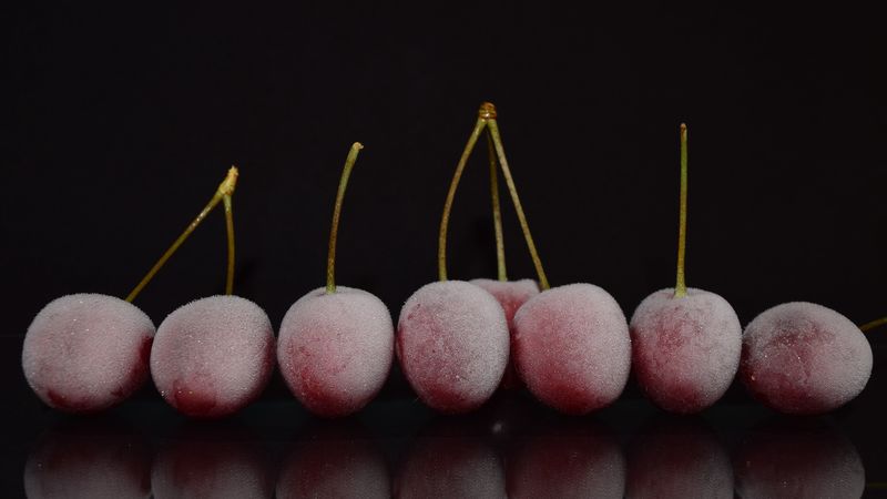 cherries, berries, frozen, reflection, 4k