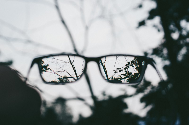 glasses spectacles branchmsight and outdoor 4k