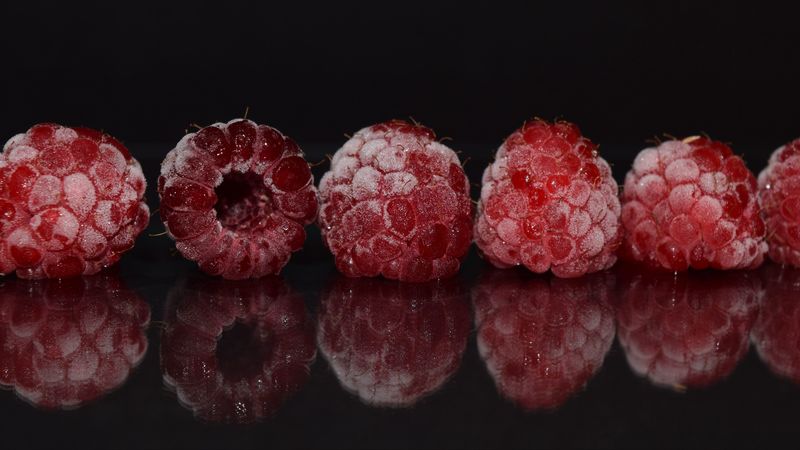 raspberries, frozen, reflection, berries, 4k
