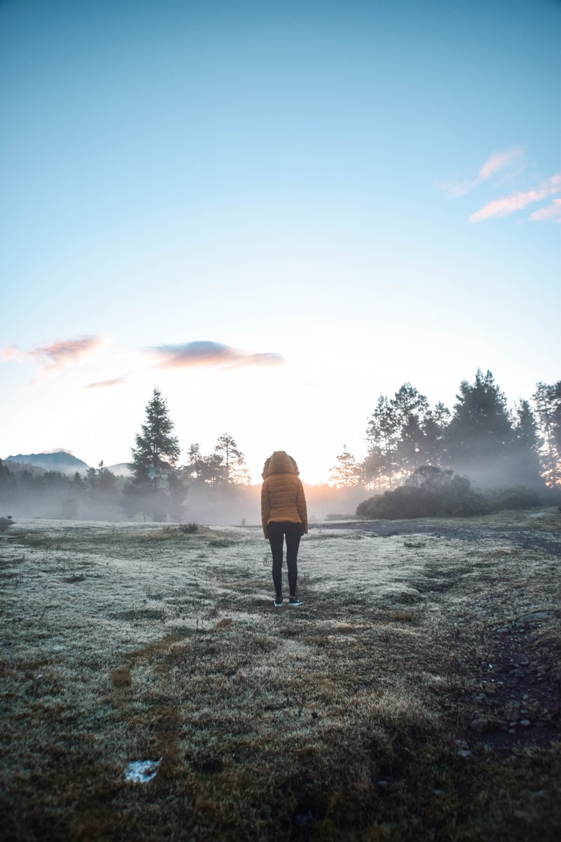 find me at dawn 4k