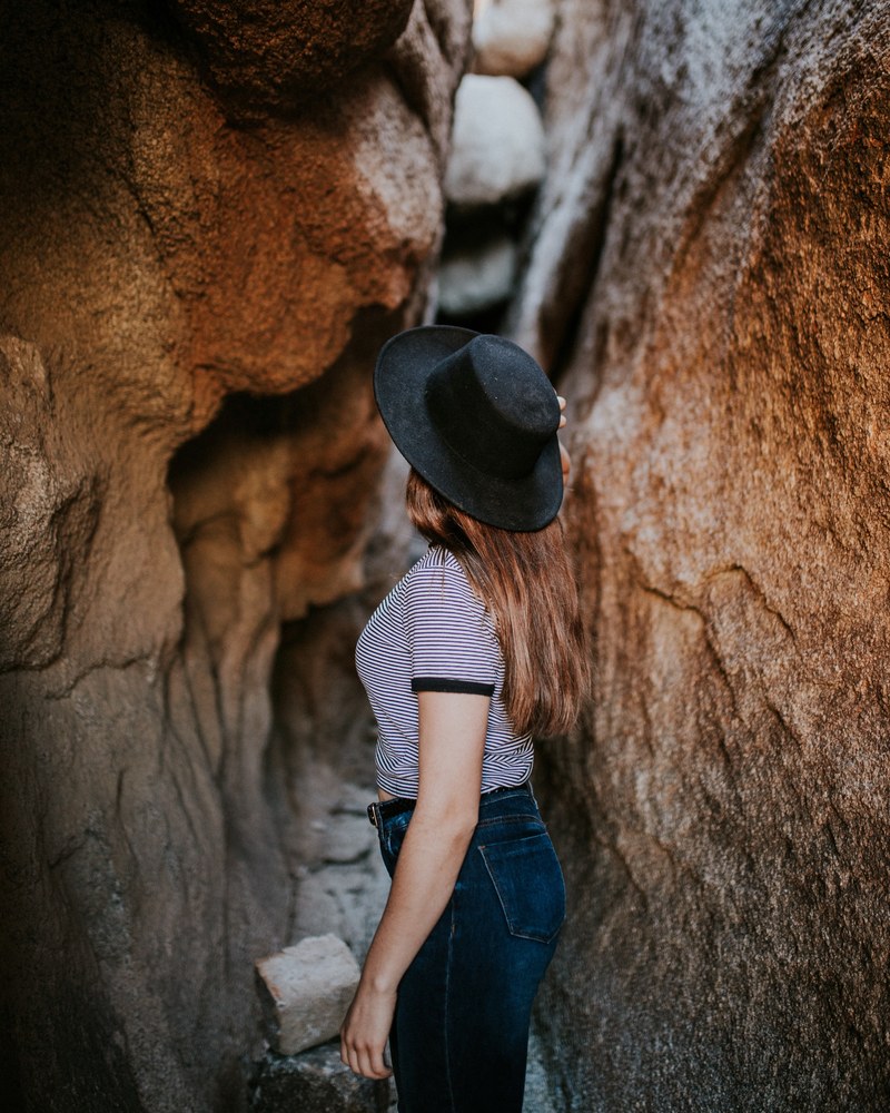 exploring joshua tree 4k