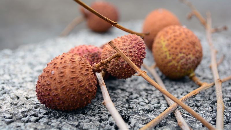 lychee, chinese plum, fruit, exotic, 4k