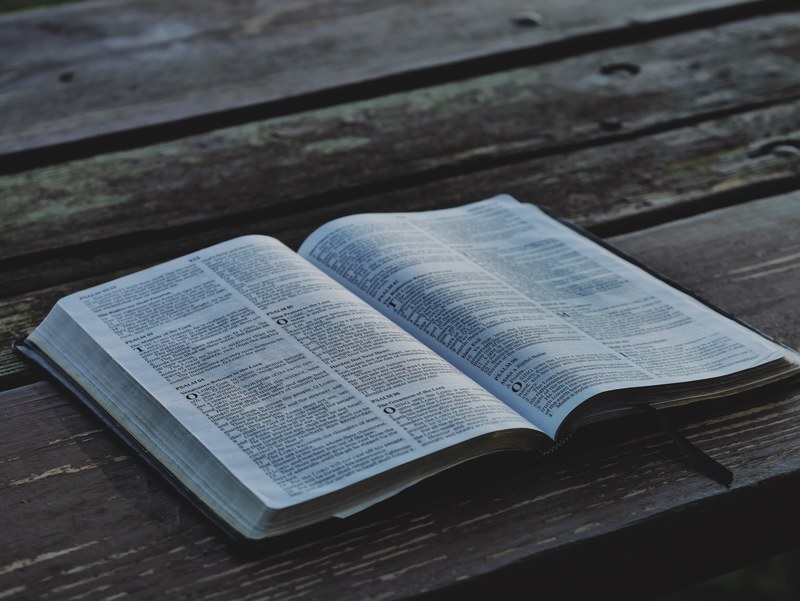 book read text and pages 4k