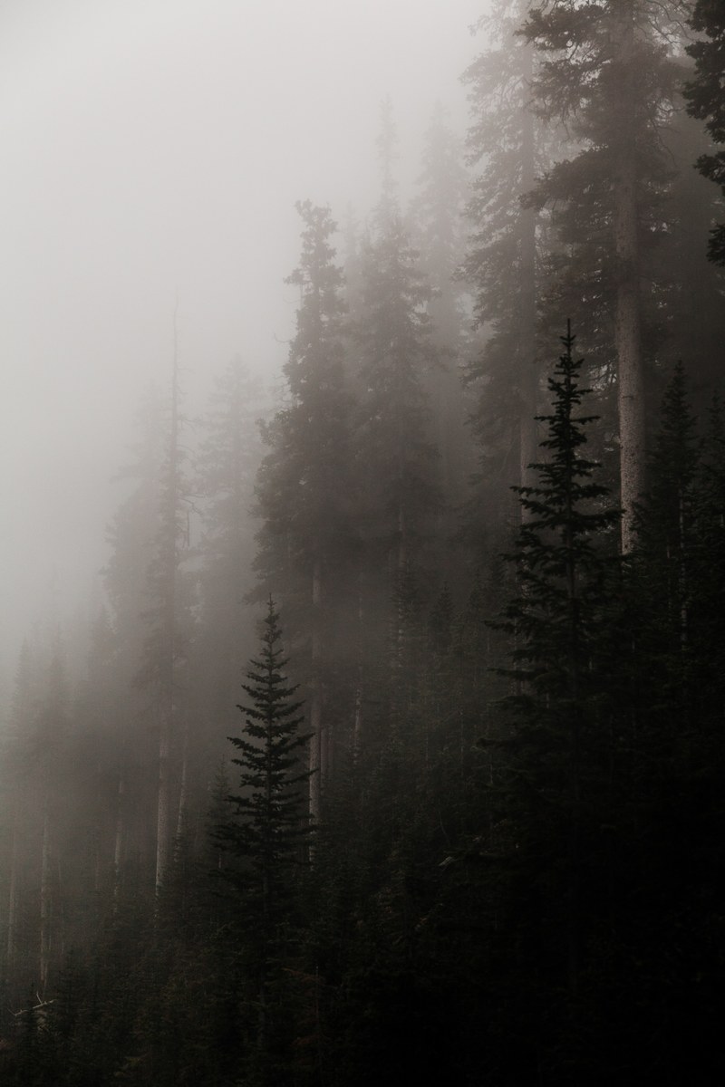 that which was once lost 4k