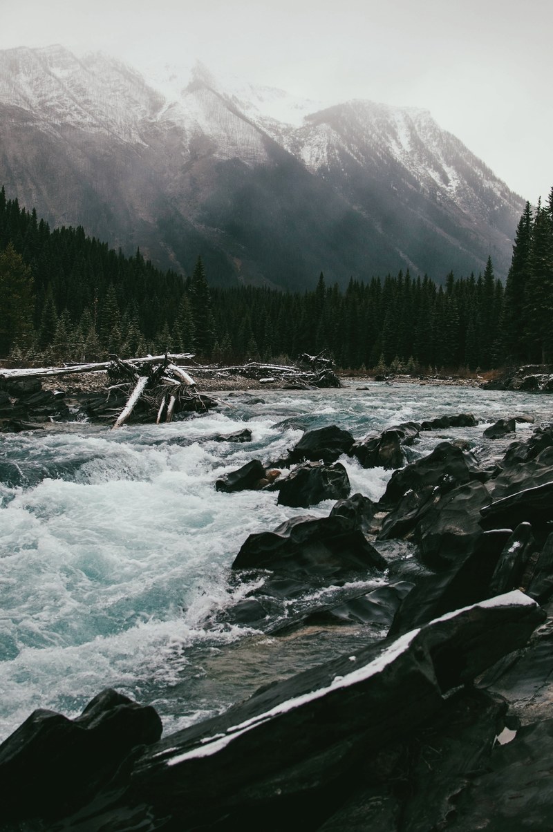 a bubbling stream flowing on a rocky bed in the mountains, fast flowing mountain stream 4k