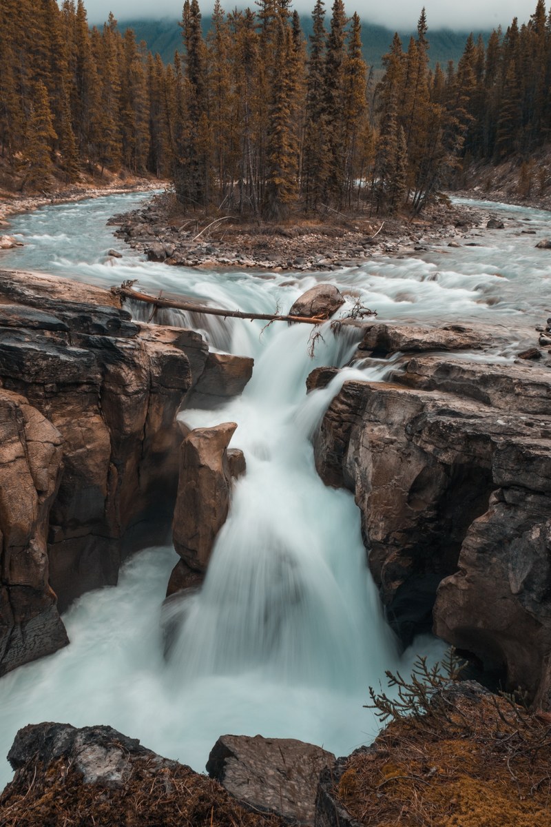 a waterfall flowing around a rock covered island and into a canyon to drop off into a waterfall pool, small waterfall in a forest 4k